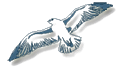 Logo Bird
